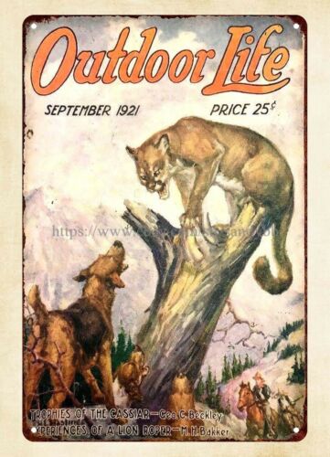 Outdoor Hunting Dogs - Compre a placa de metal de