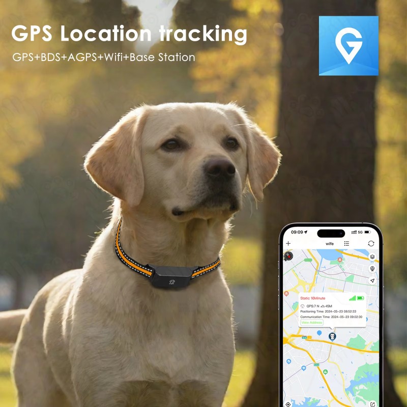 Rastreador GPS para Cães, Disp - Outdoor Hunting Dogs avaliação e preço