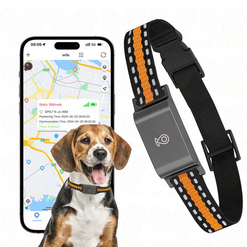 Rastreador GPS para Cães, Disp - Outdoor Hunting Dogs avaliação e preço
